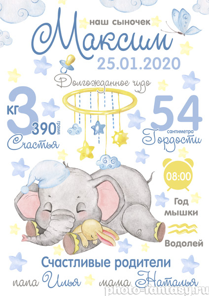 Метрика №43 со слонёнком