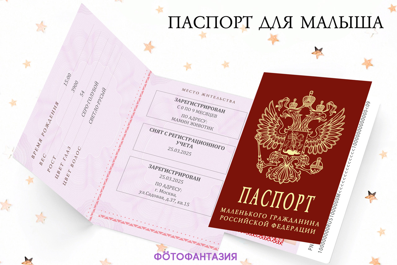 Шаблон детского паспорта скачать