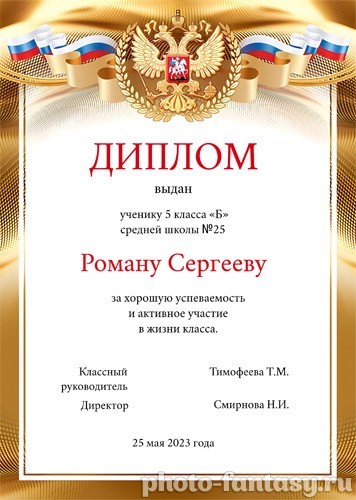 Официальный диплом №16